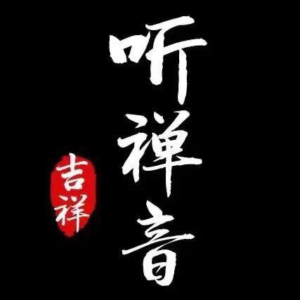 善音播放器
