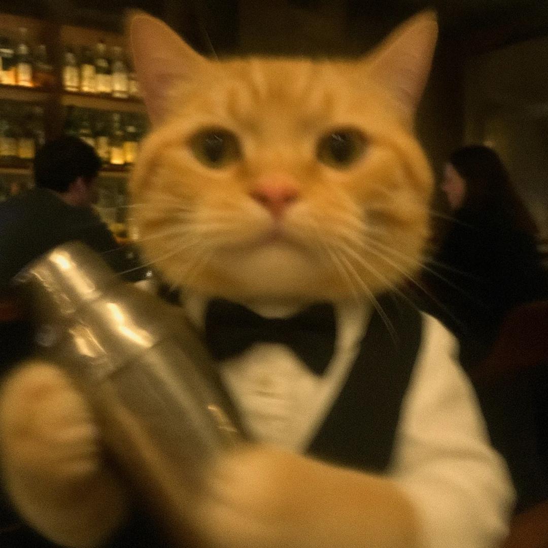 六便士与你homebar
