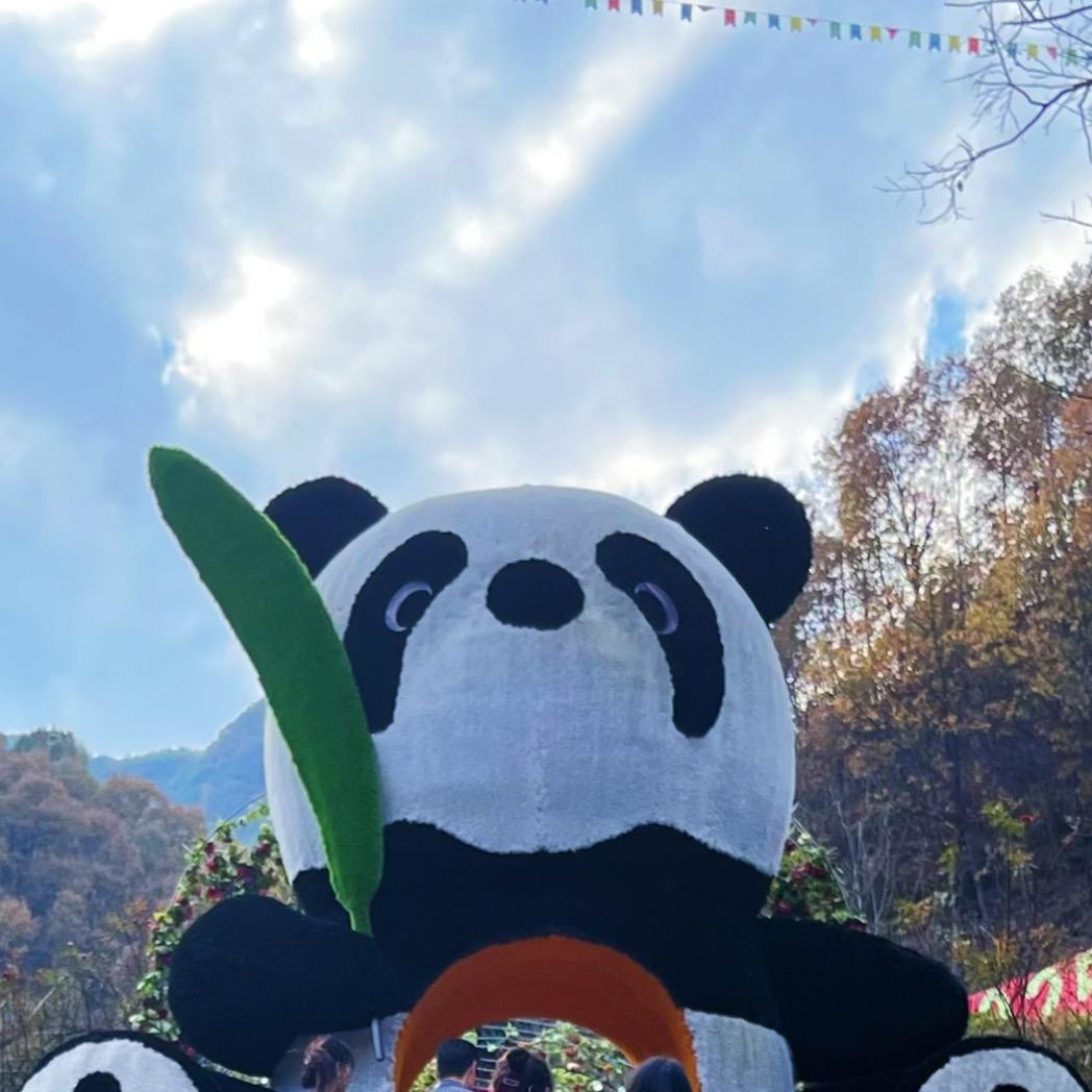大熊爆爆爆