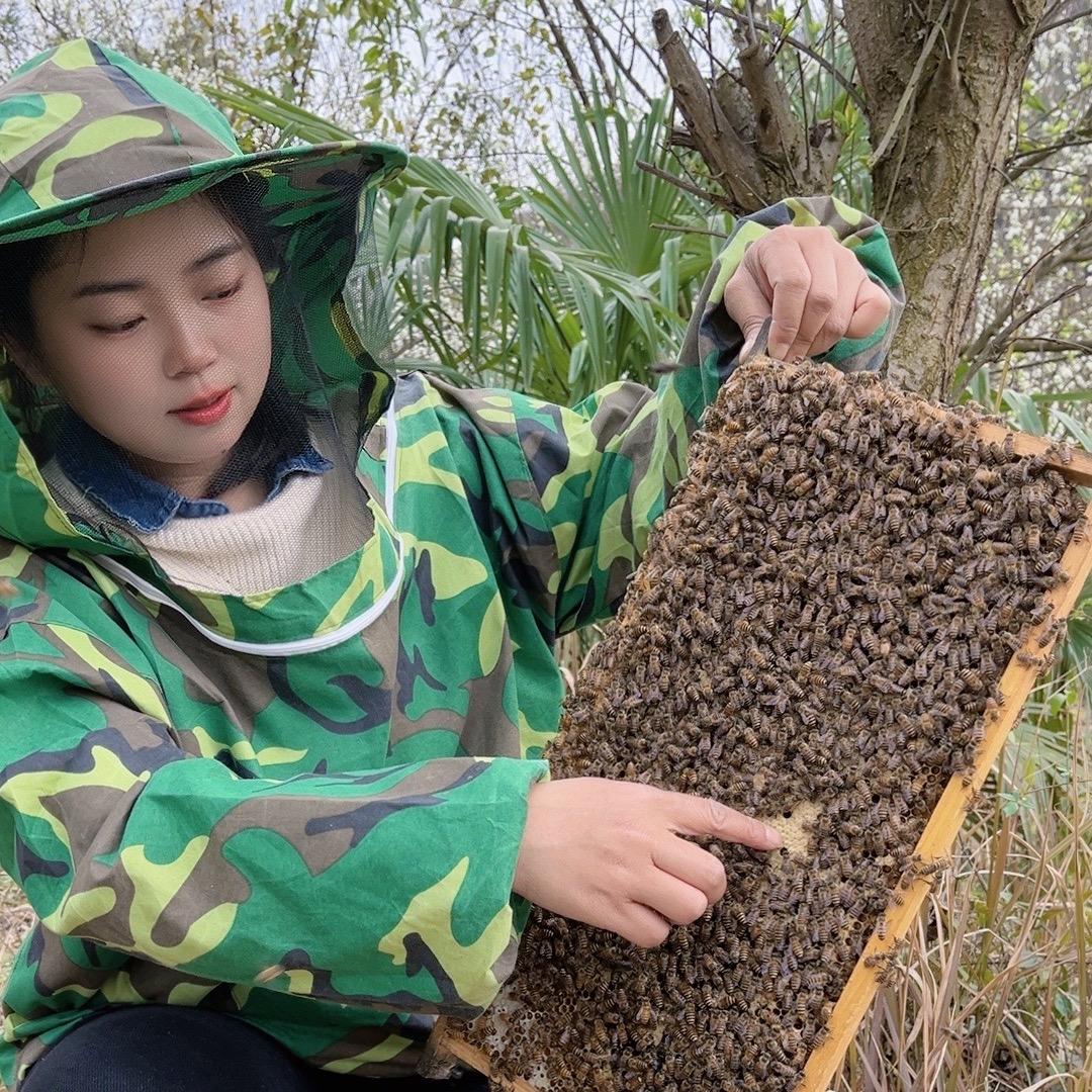 万巢蜂业，宋三妹
