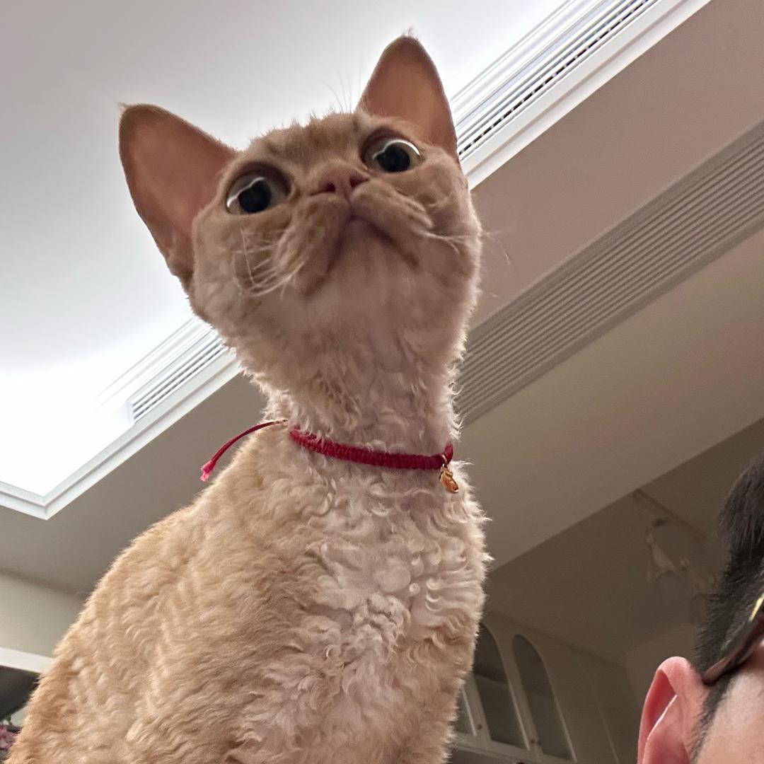 村里的托尼老师