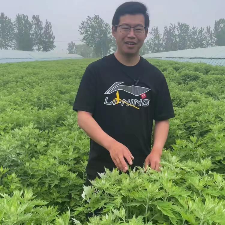 骏懿缘小唐用艾说话