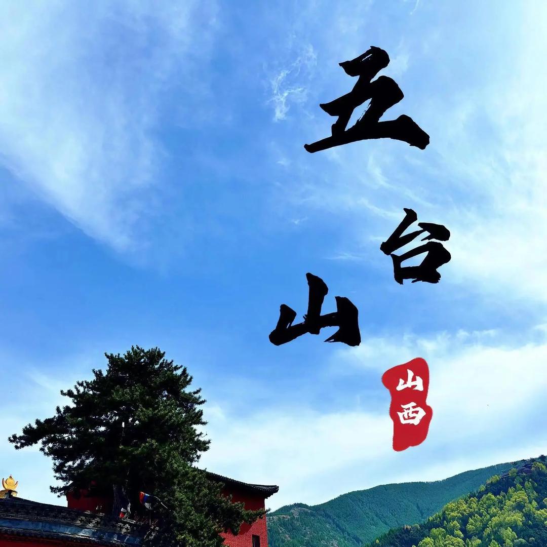 四哥出山