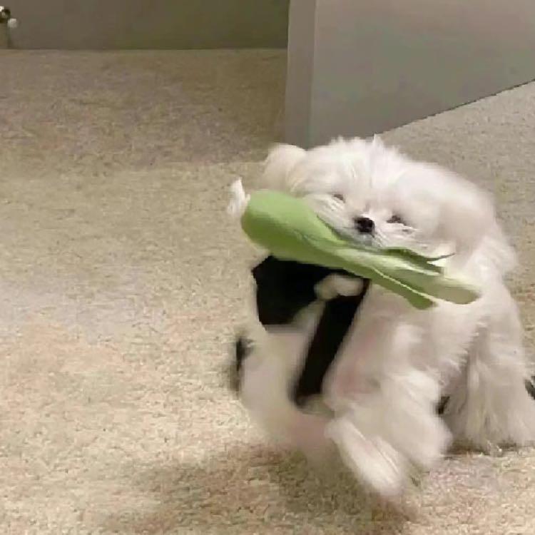一颗歪牙