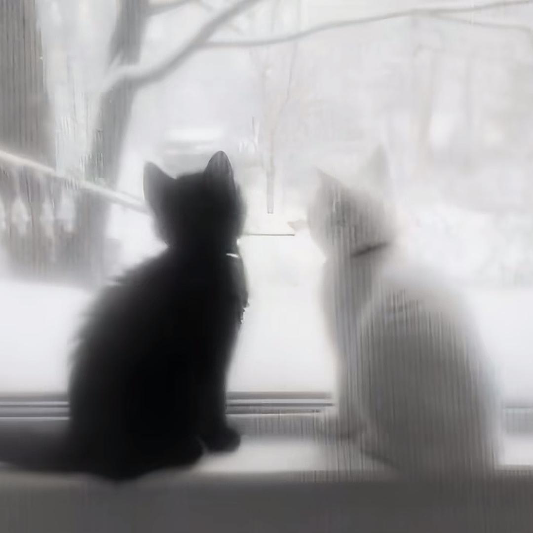 钛白