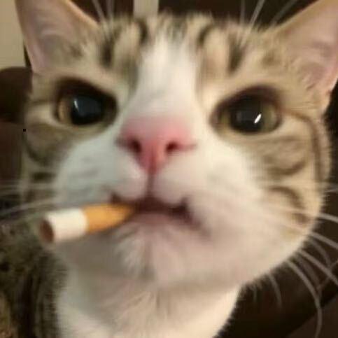 charlie🌧️
