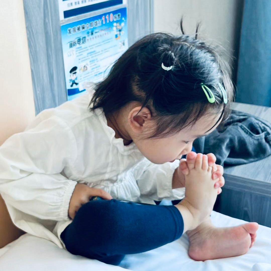 佛系燕紫