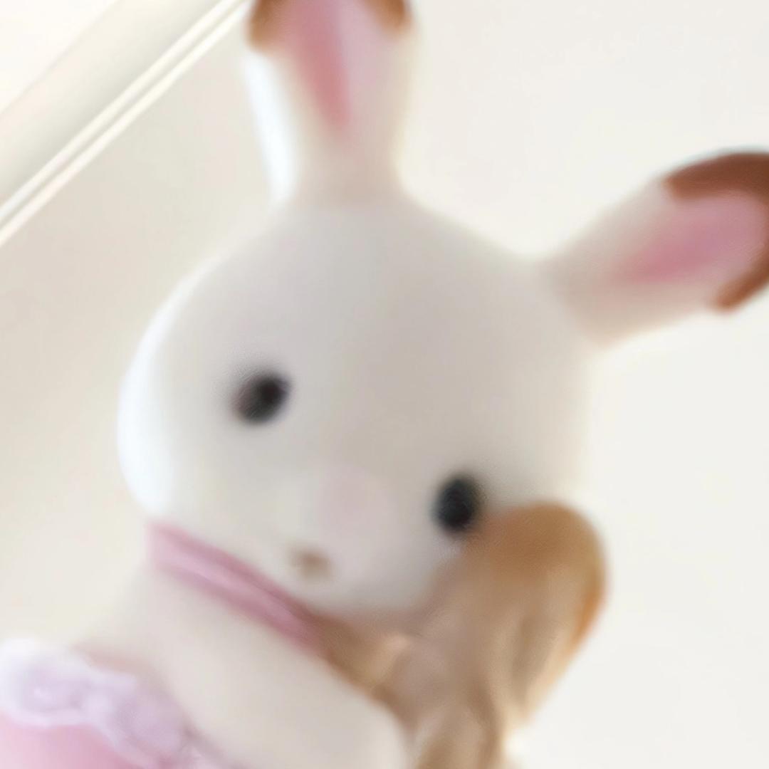 菲行日记