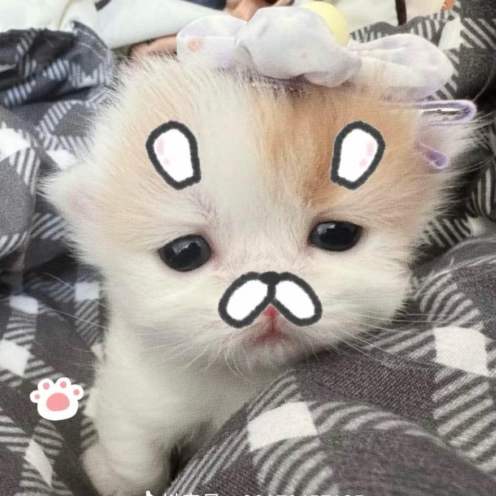 OnlyQi