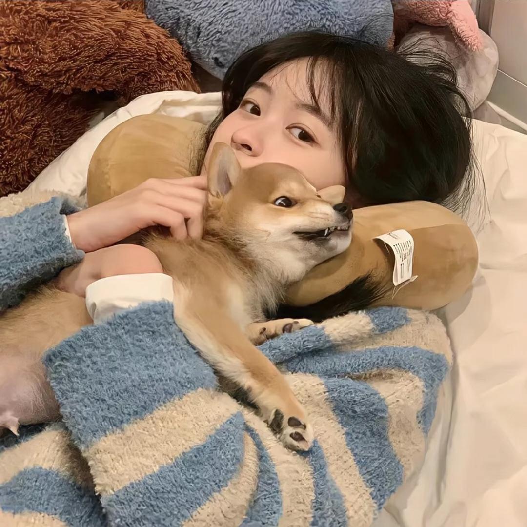 芝士小狗🐾