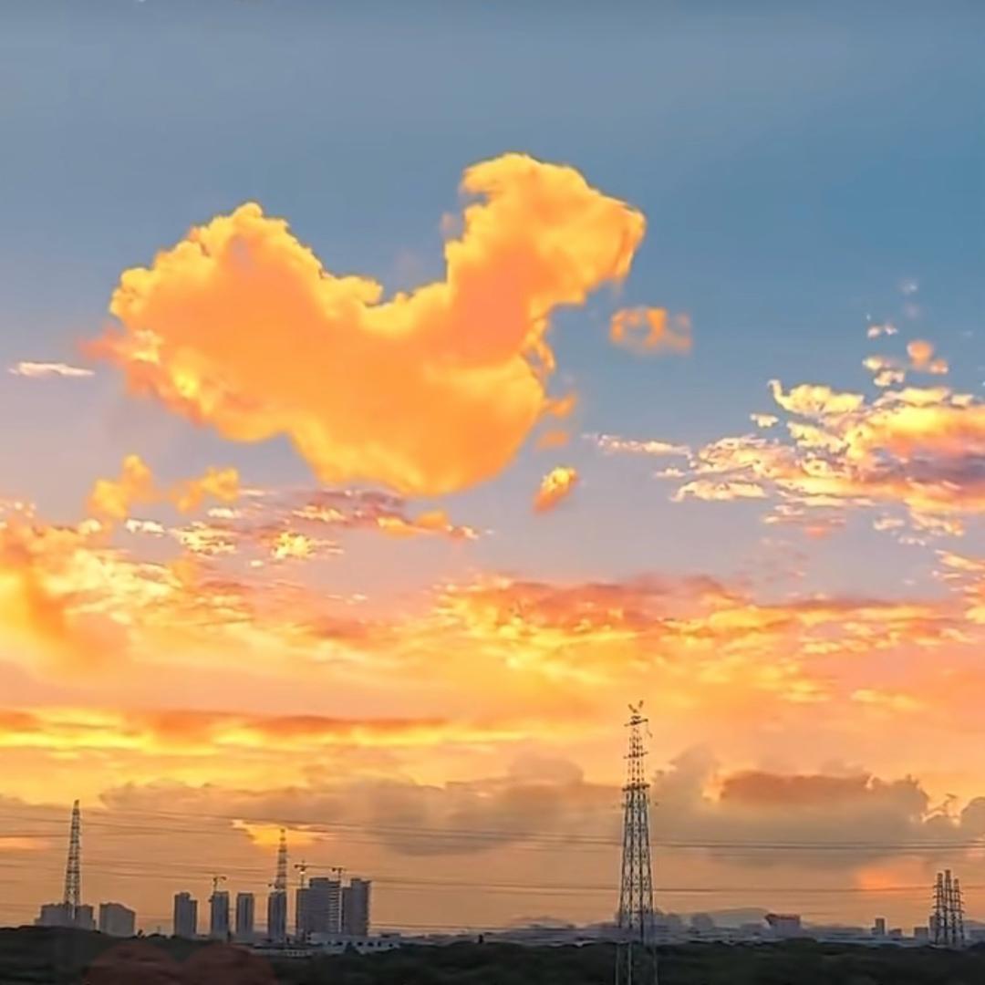 煎饼大葱