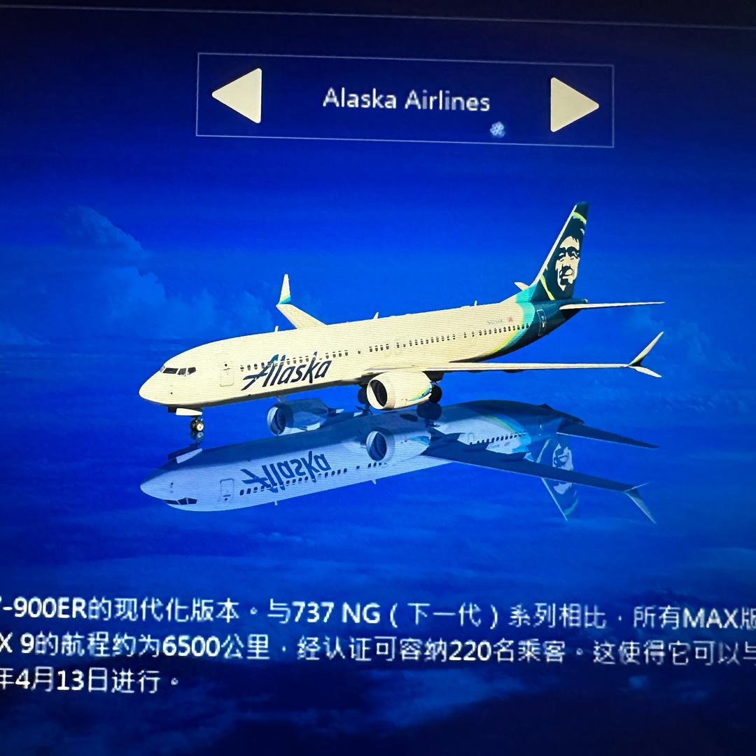一只喜欢玩af的737-900ER
