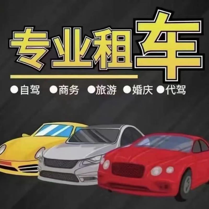 淮北佰资汽车租赁.陈小白