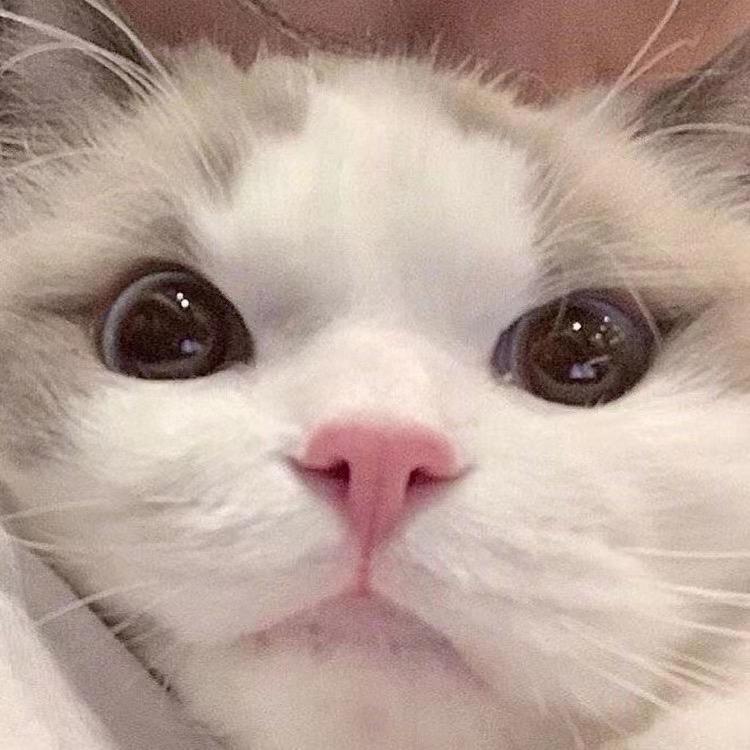 时光.倒流