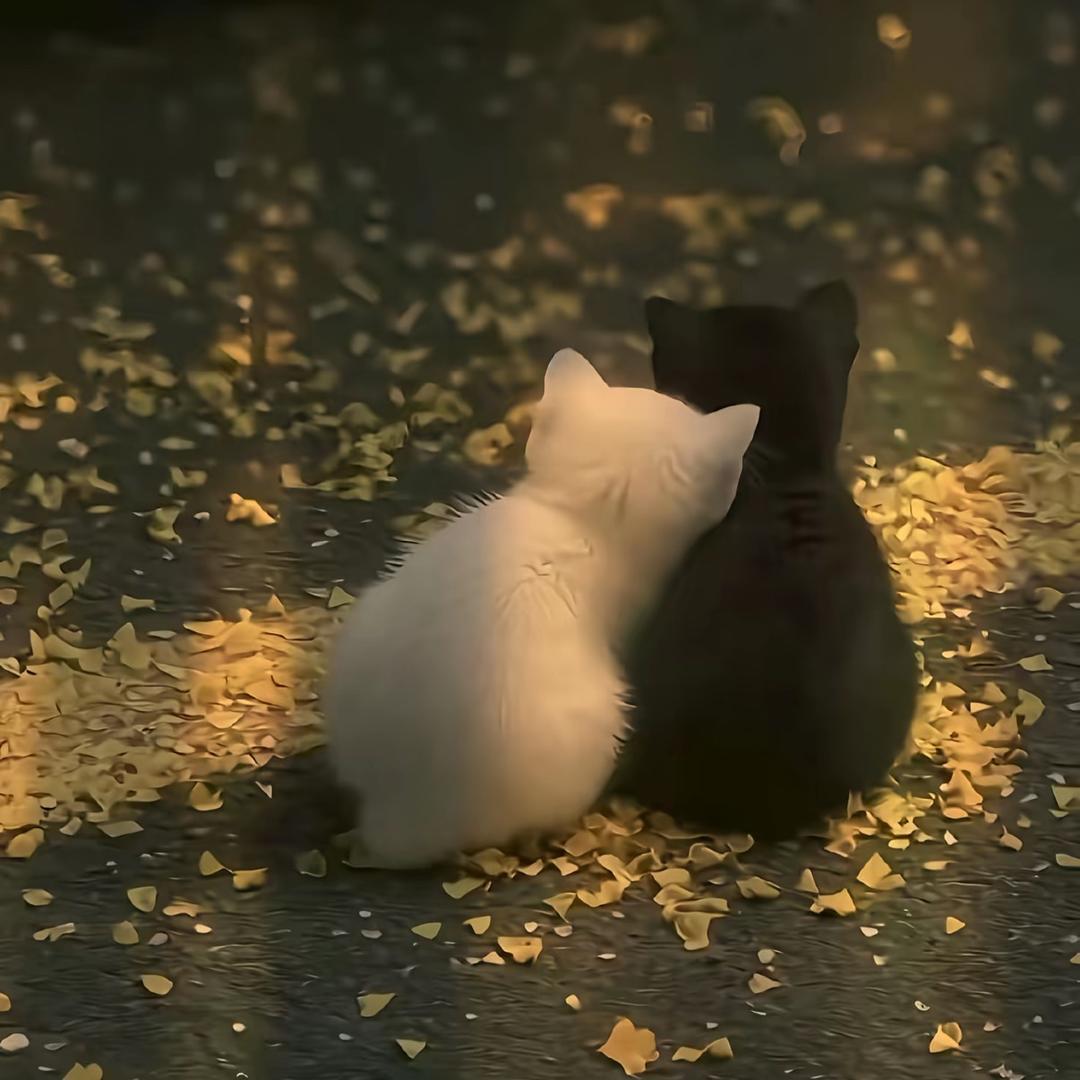 🐈
