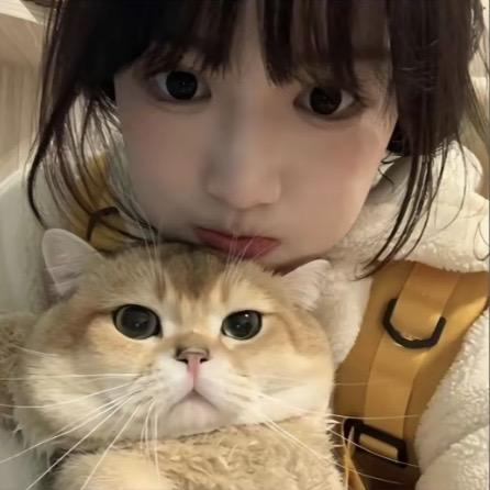 好啵