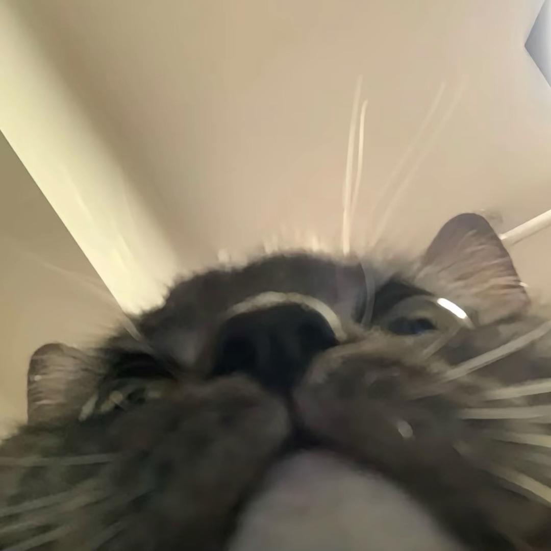 .1128