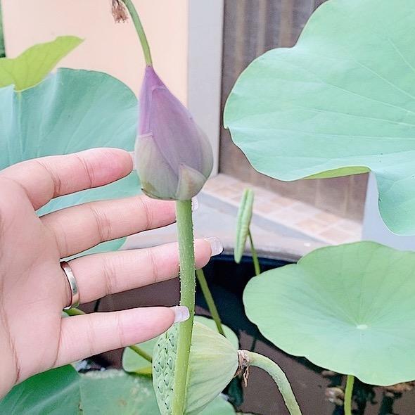 🐳玖零壹零贰玖