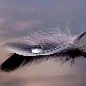 高校就业培训网