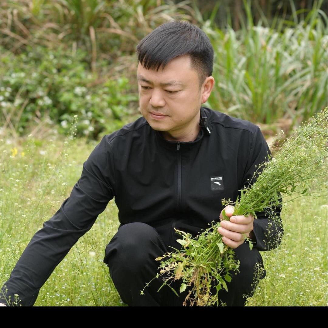 剑哥寻百草