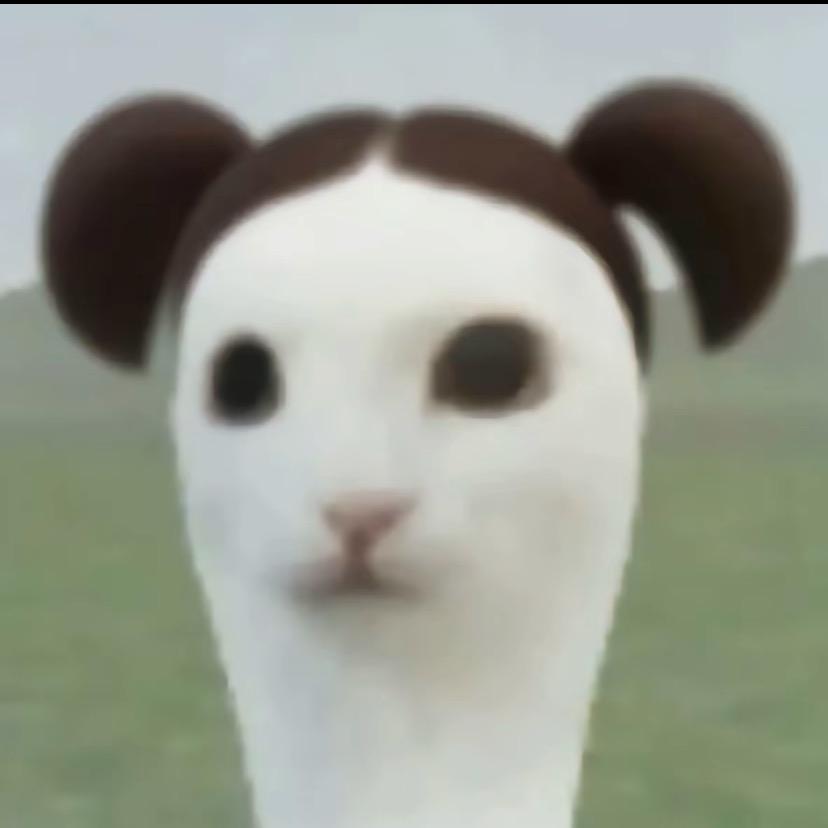 桑葚园