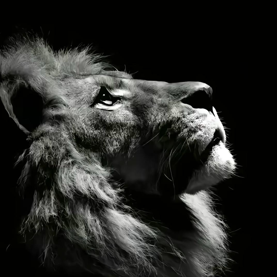 king