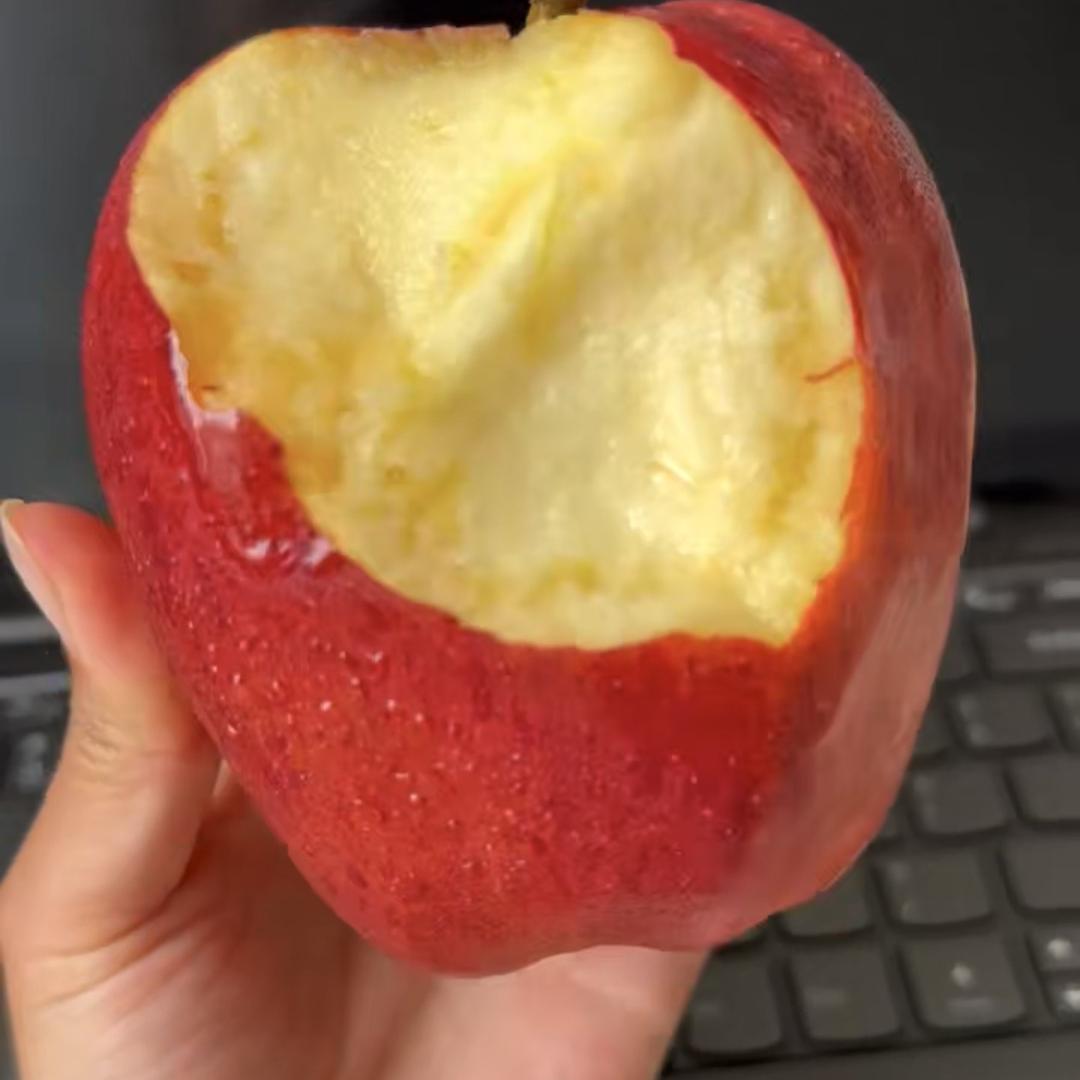 途磊果业