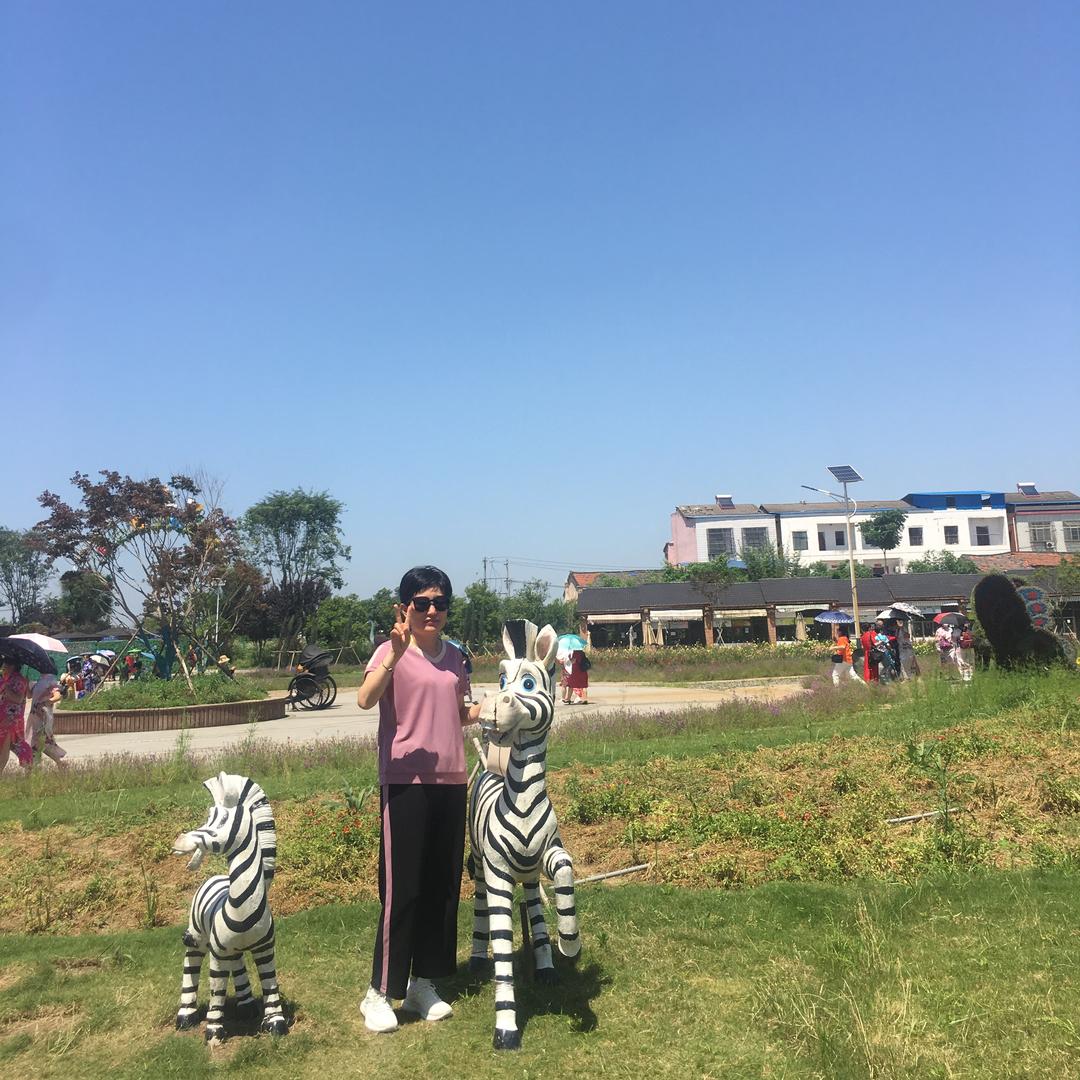 快乐每一天-.