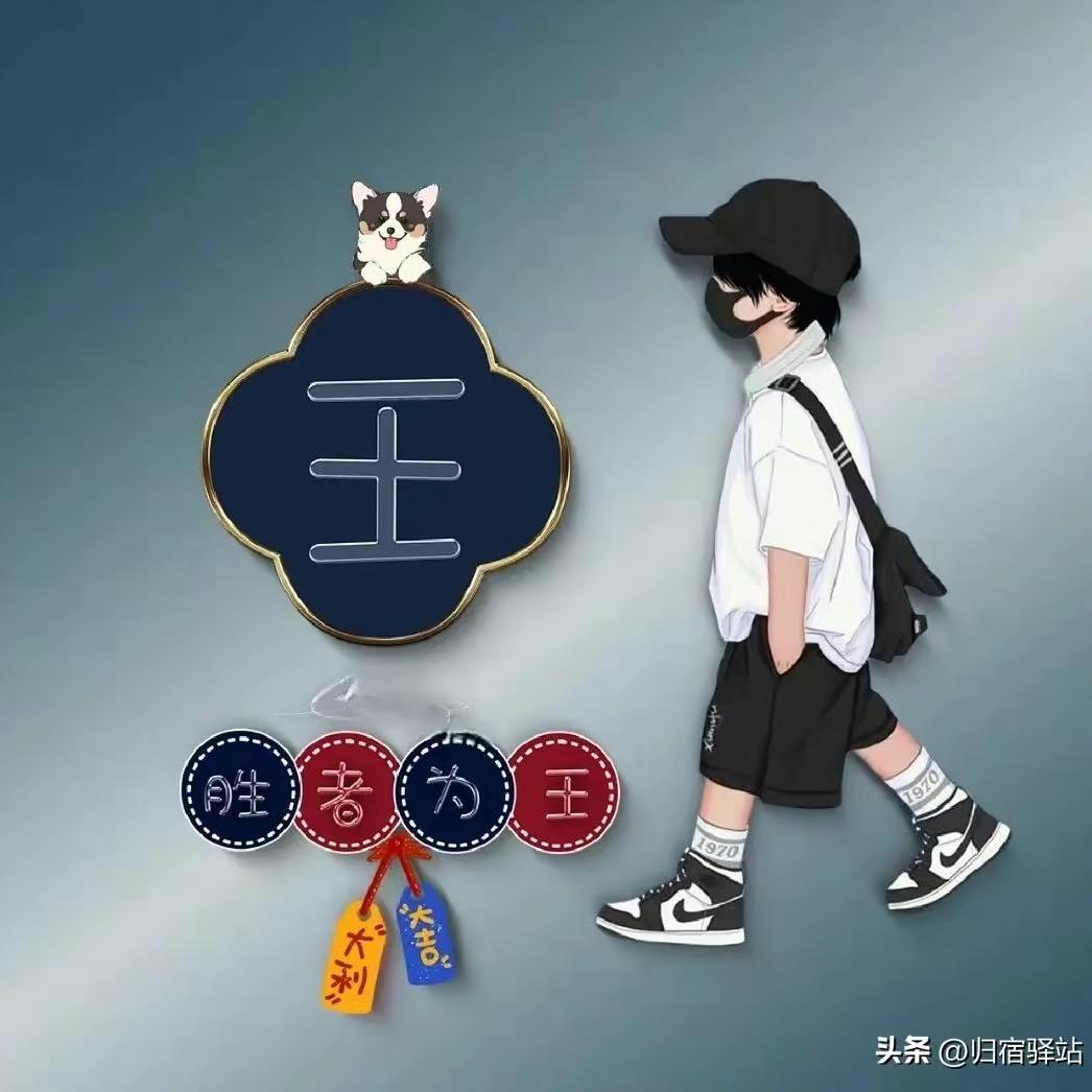 凡龙纺织Textile George