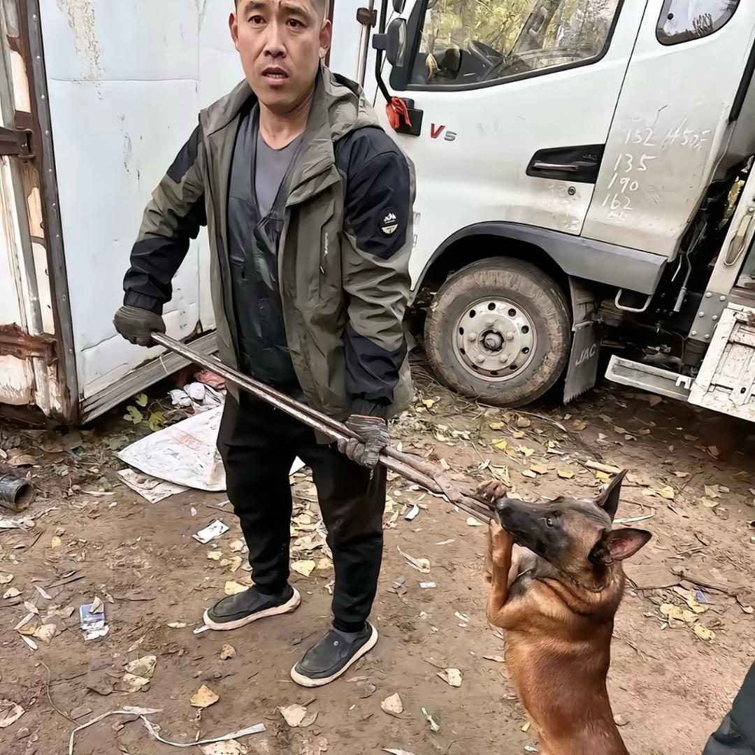 AAAAA-浙江套狗王（全浙江可套）