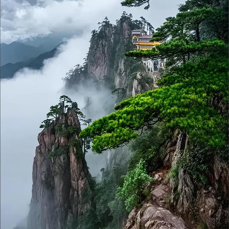情思^