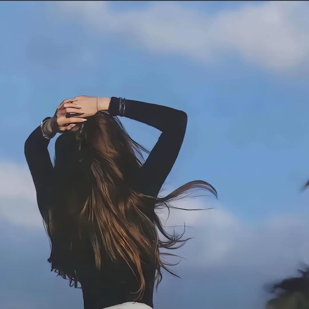 丹姐浪计划