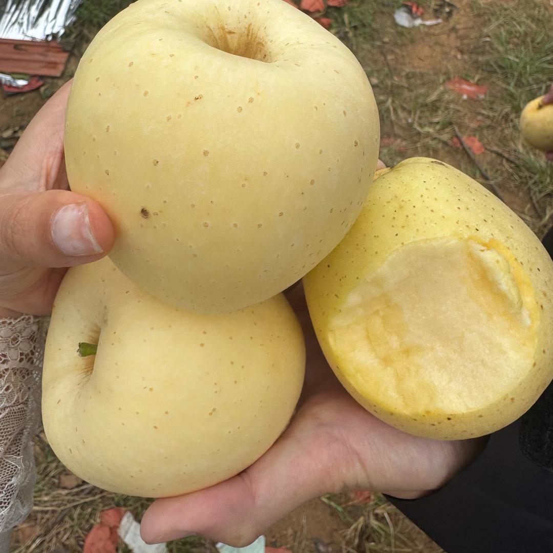 思童鲜果铺