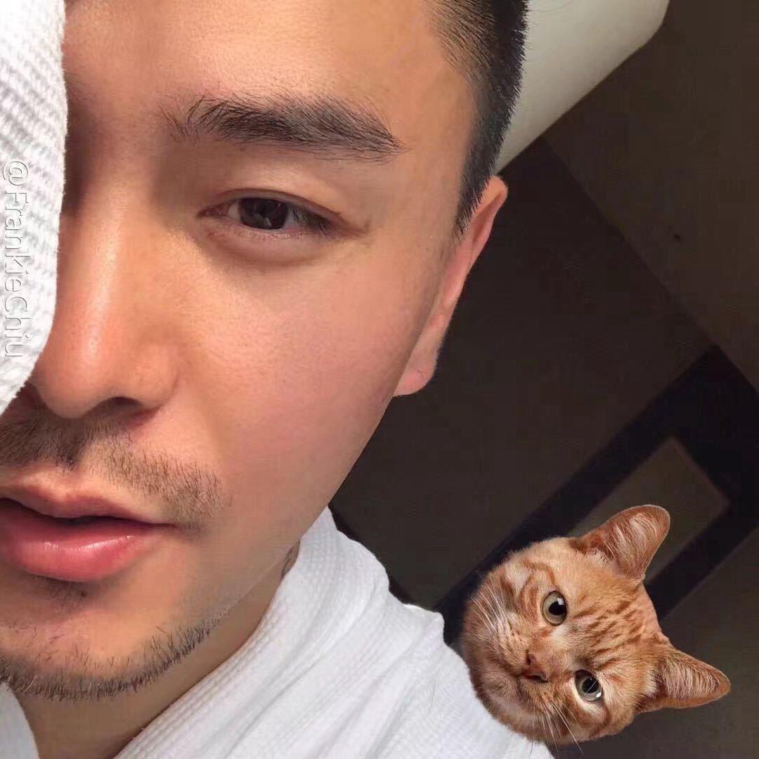 高冷的杰