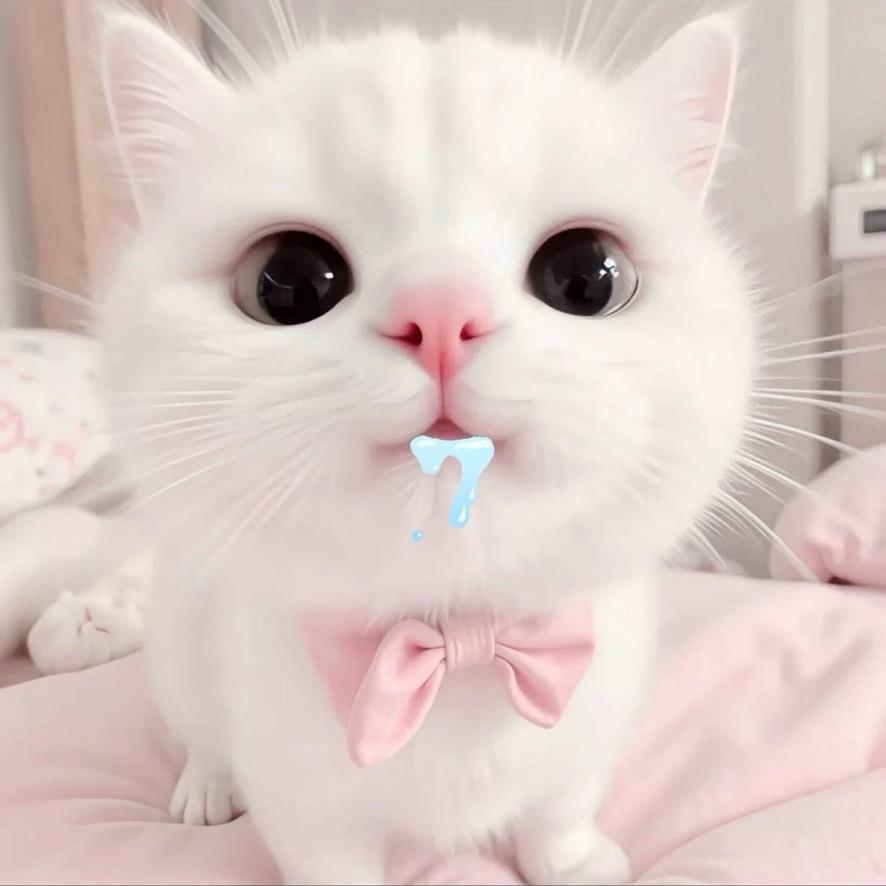 思琦妹妹ovo