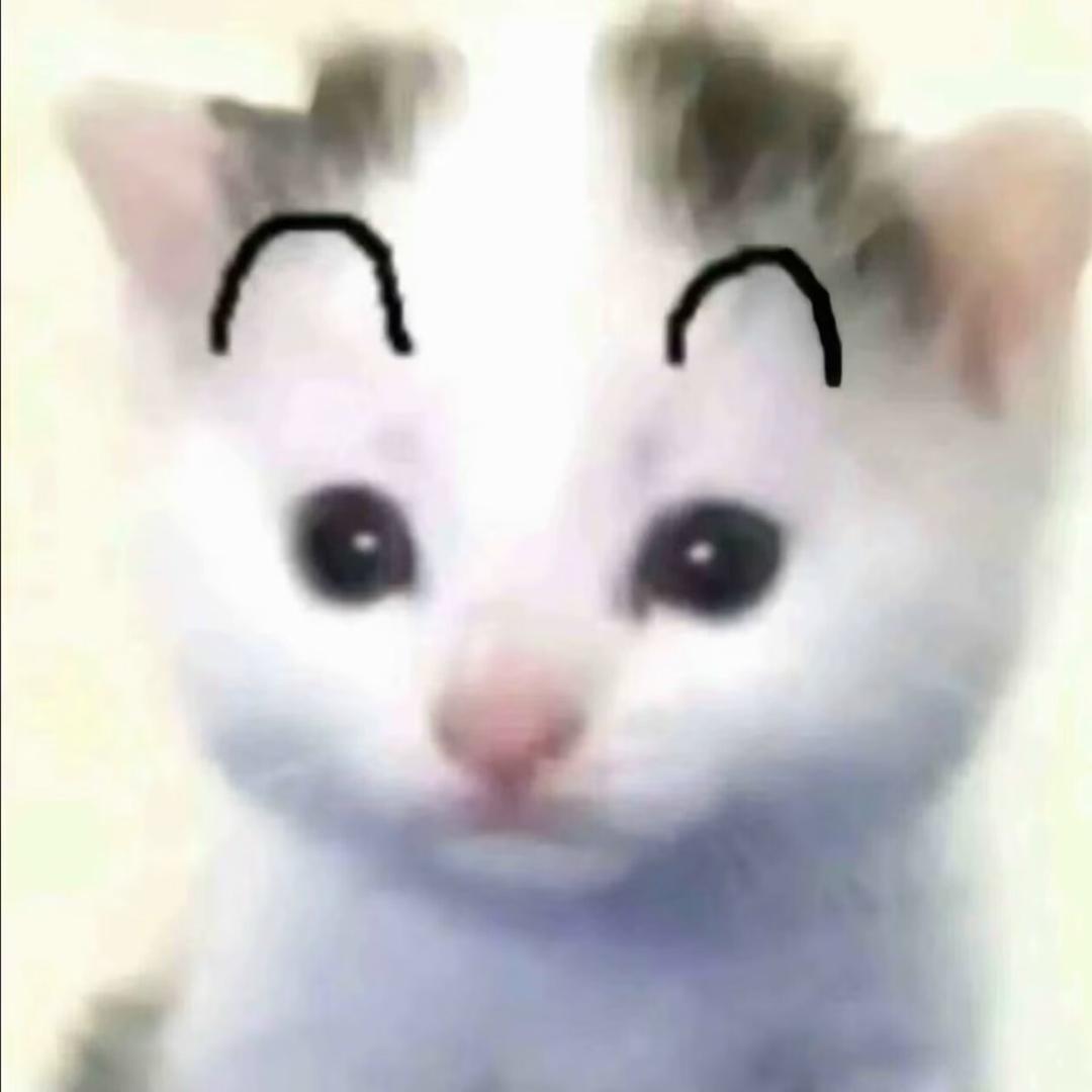 Nikiiii•̩̩̩̩ᯅ•̩