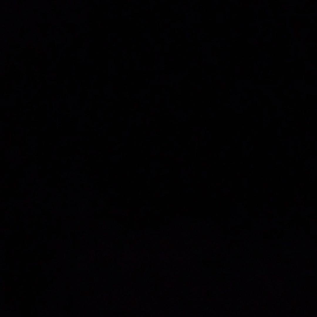 小晖豆