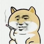 将来