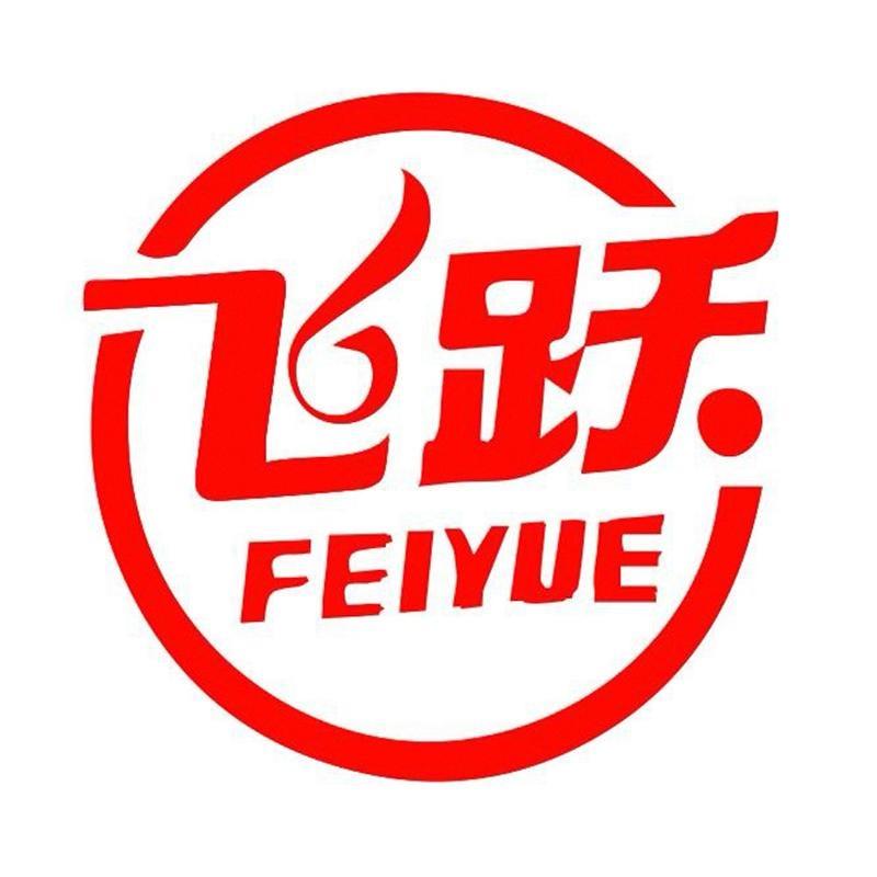 飞跃feiyue旗飞专卖店