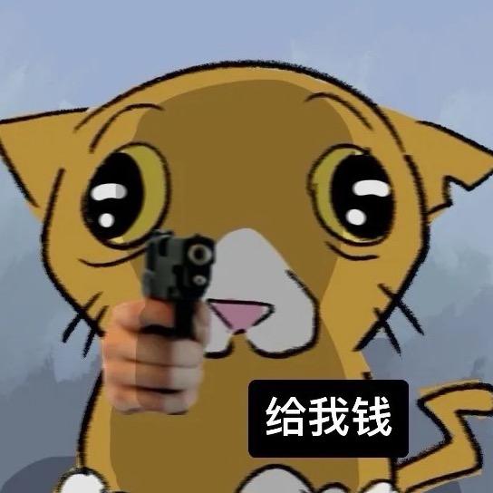 不機嫌な子猫ちゃま🐈