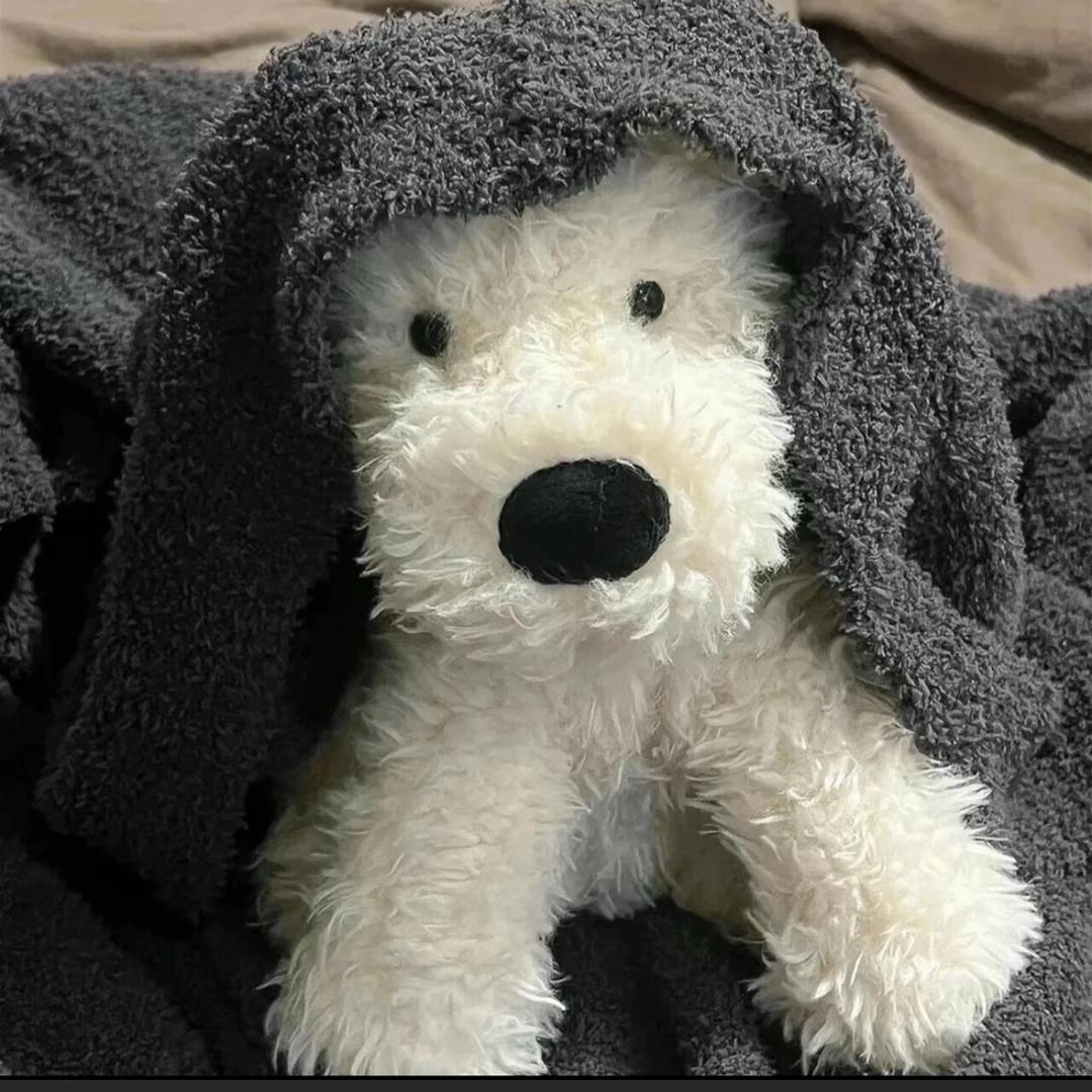 @Zj 🧸ྀི