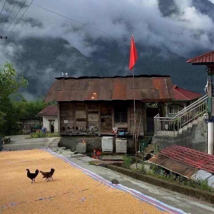 华华钢