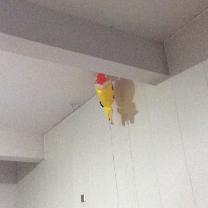 初心不变湖栗壹