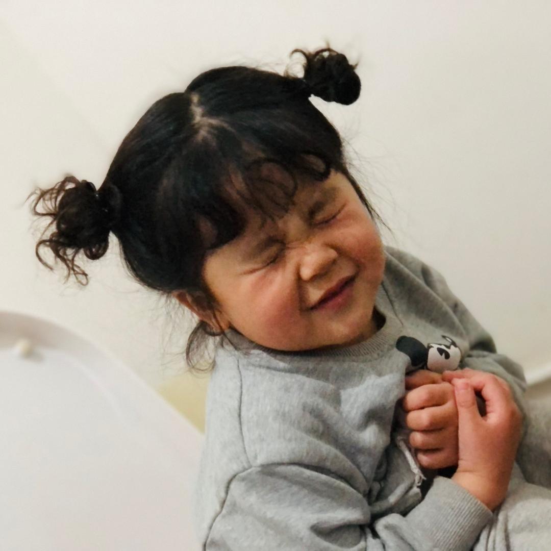 不吃香菜的小马  ◡̈