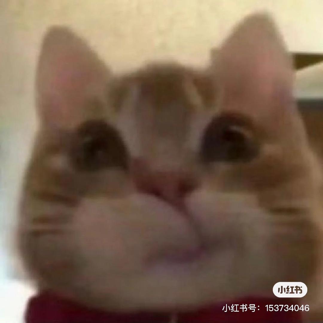 不留遗憾