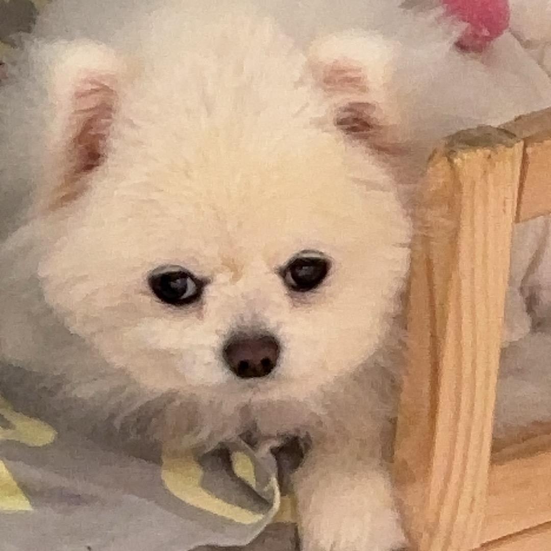 秋亦小说