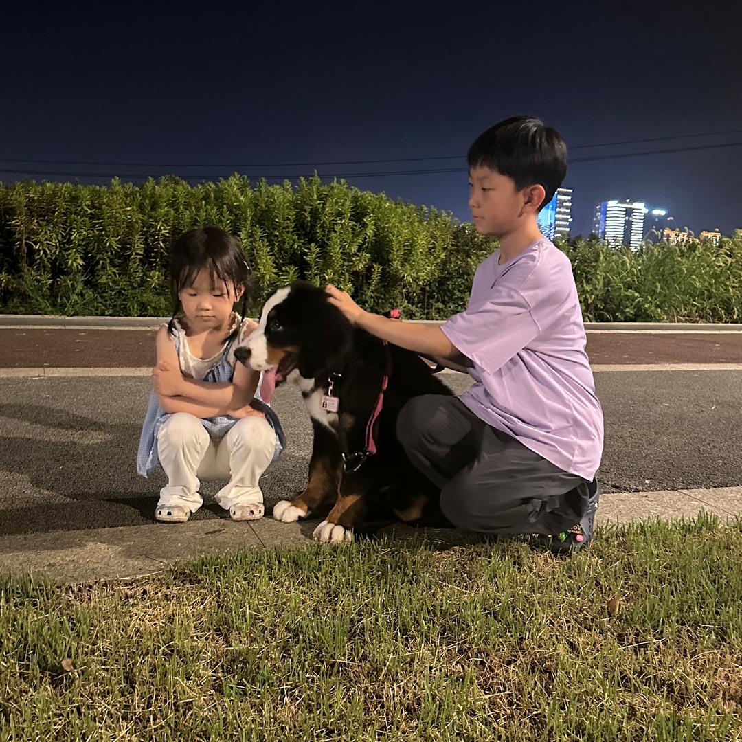 伯恩米妮