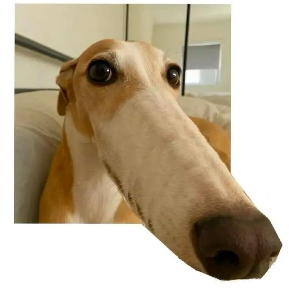 EvelynCoo3