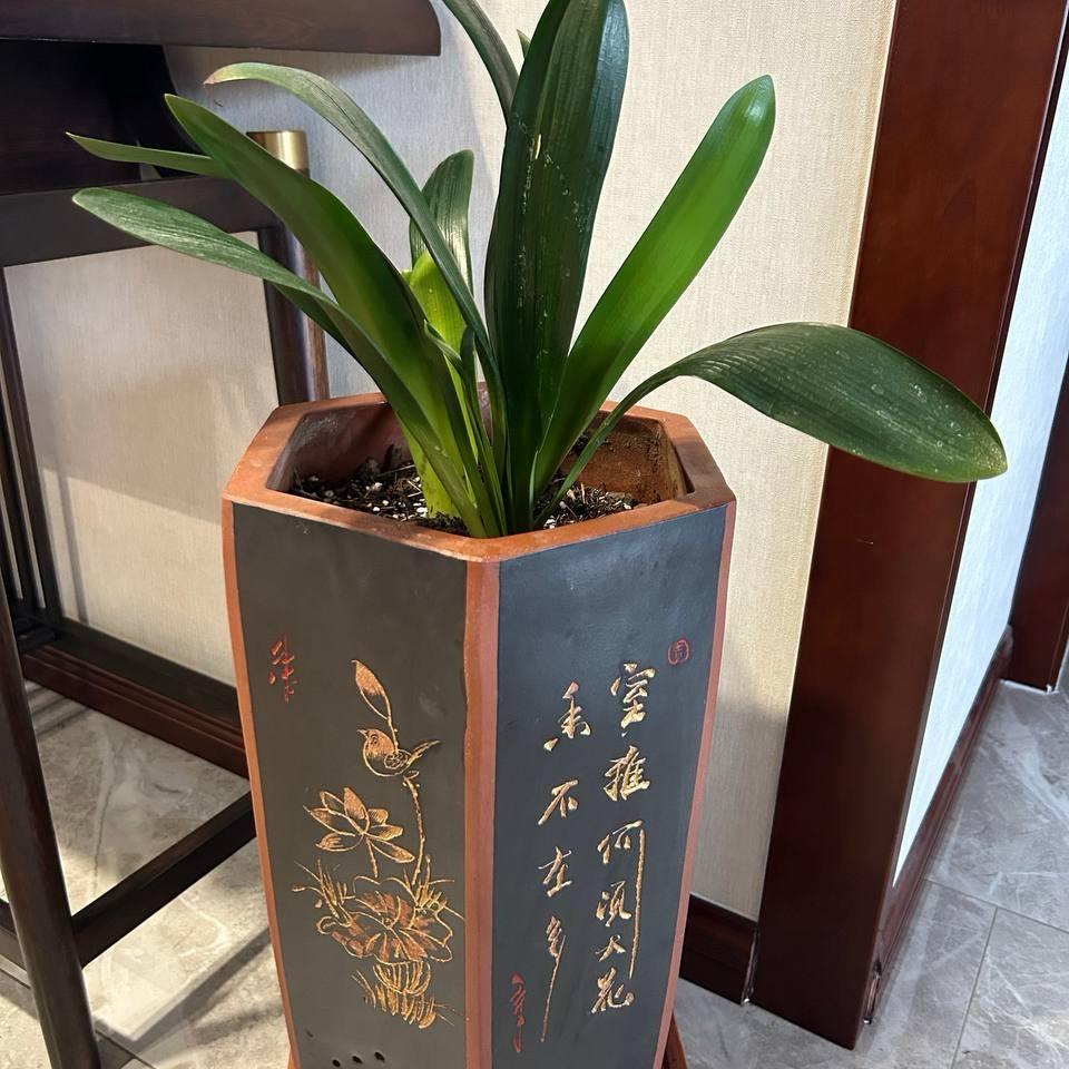 温润如玉