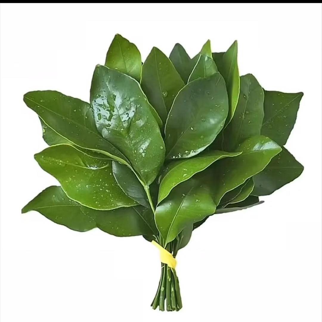 是花开富贵噢🏝️